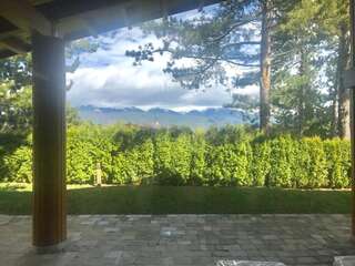 Шале Pirin Golf Villa Emila Банско Шале-35